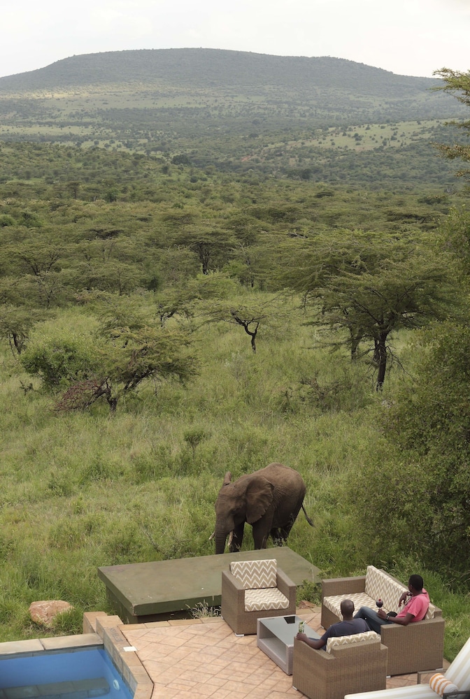 Spirit Of The Masai Mara