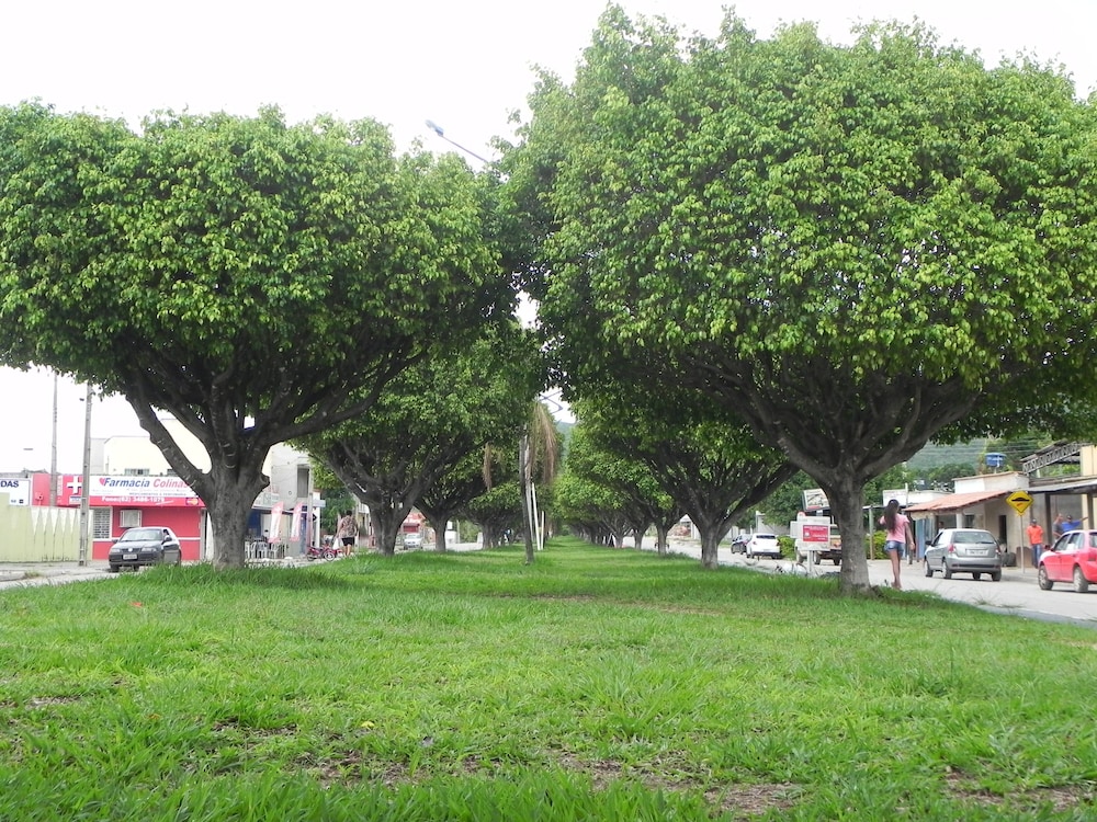 Photo 46
