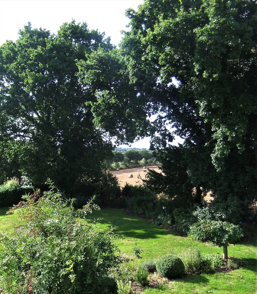 B&B St Emilion Braz
