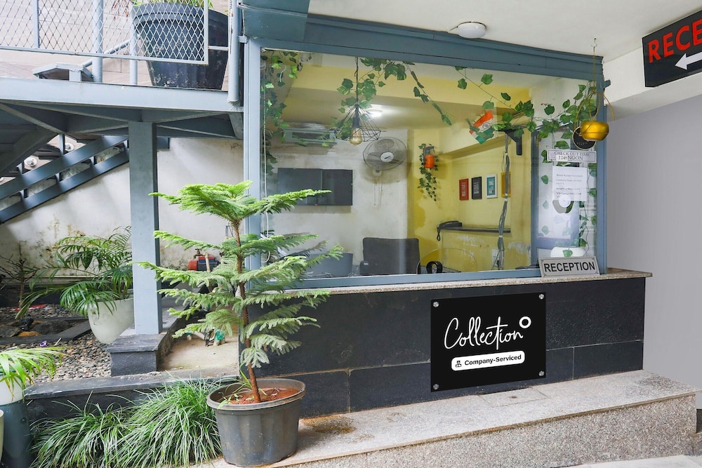 Cozy Stays Near Pacific Mall Rajpur Dehradun