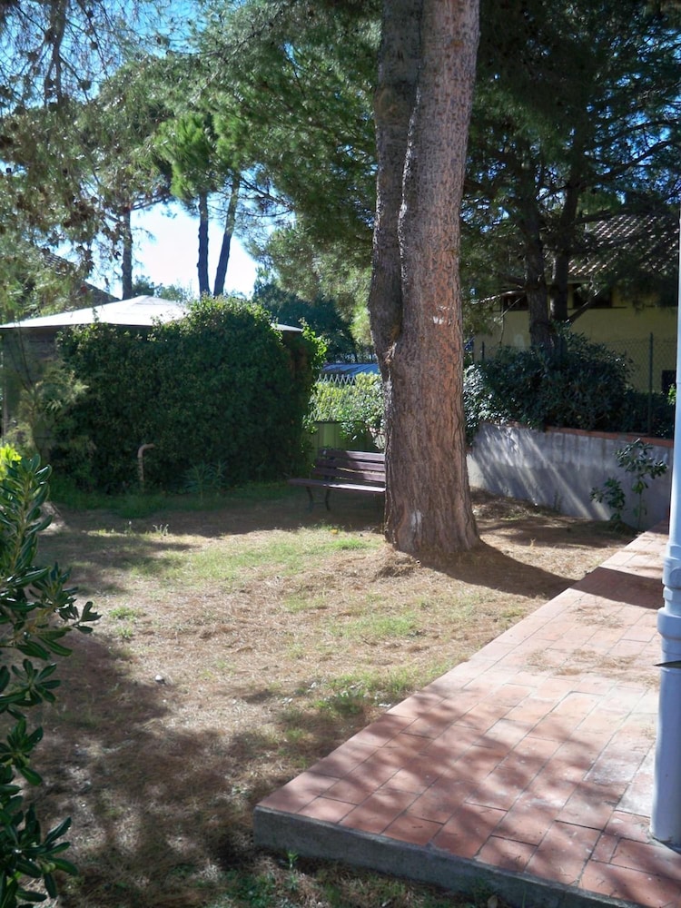 Photo 24