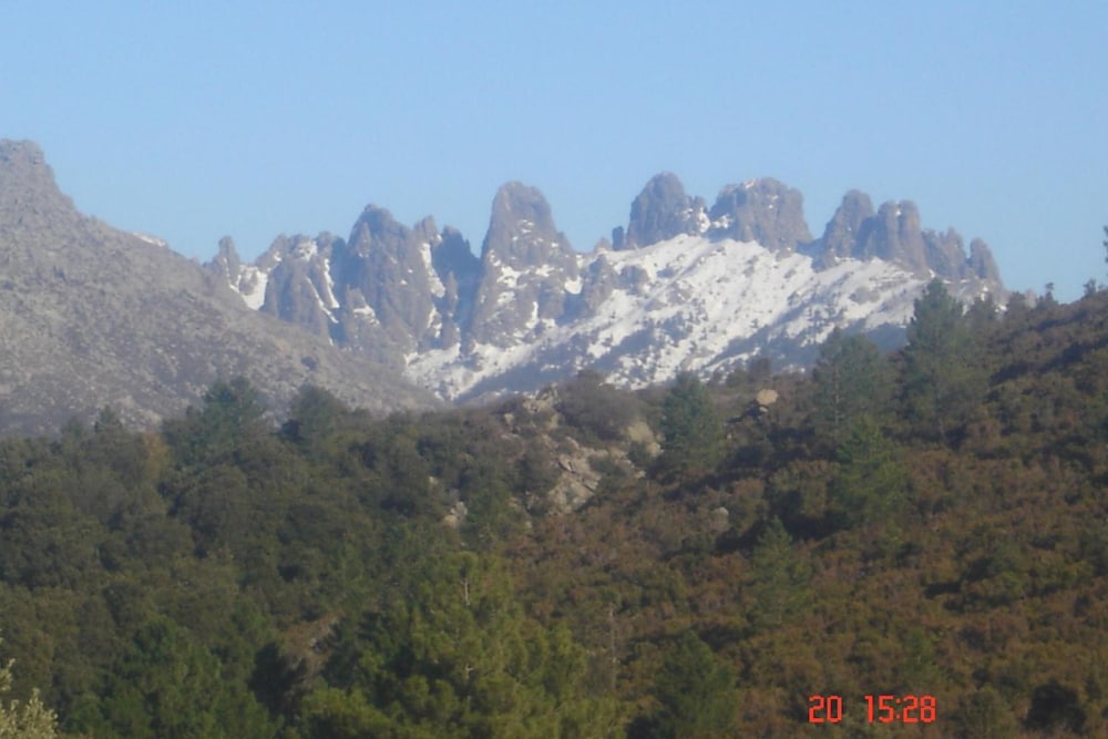 Photo 43