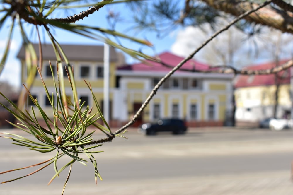Reshetnikov Hostel