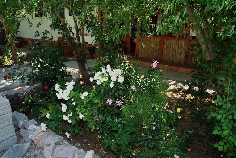 Photo 25
