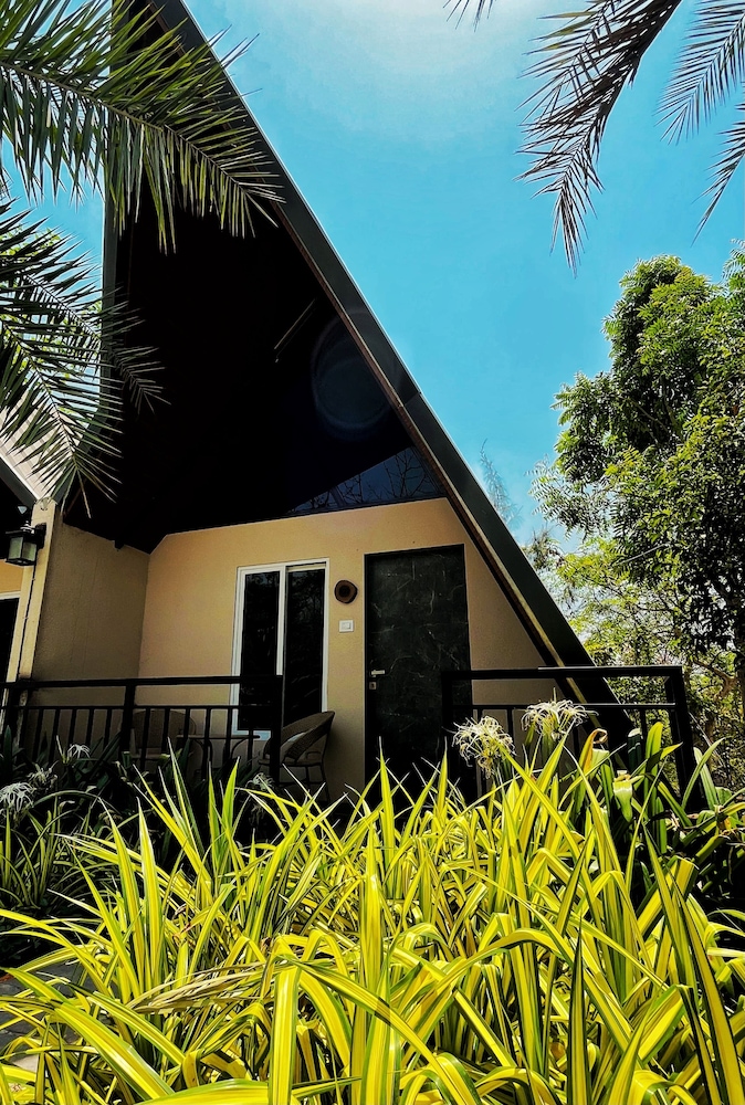 Bird's Nest Resort - Shahapur
