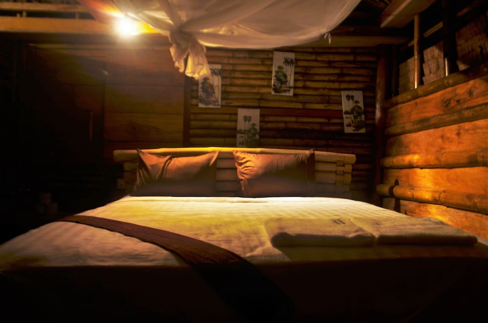 Tree Bar Hostel