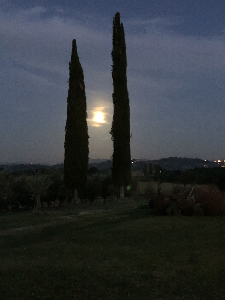 Macciangrosso