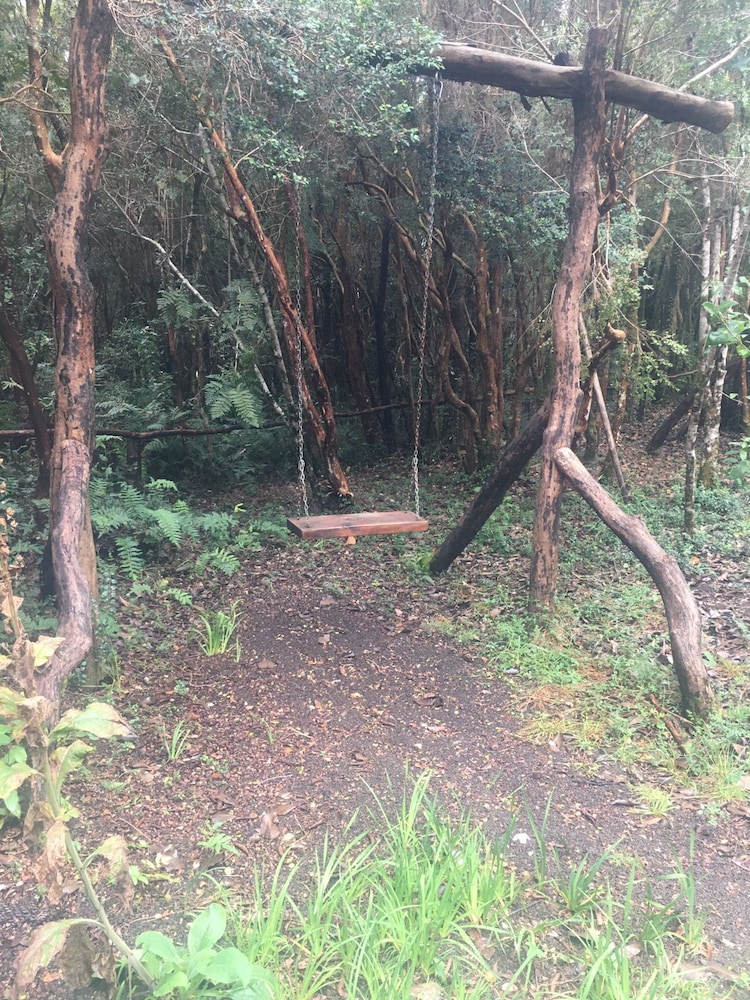 Cabañas Ensenada Bosque Nativo