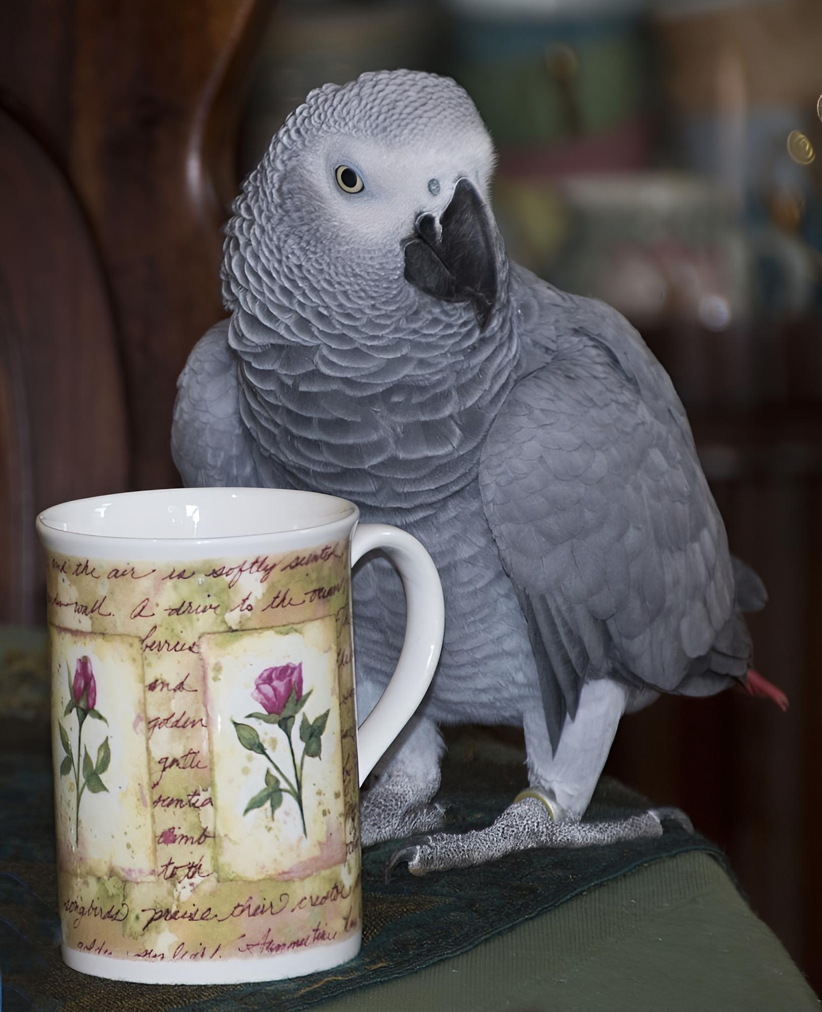Jean Lee Bed & Breakfast