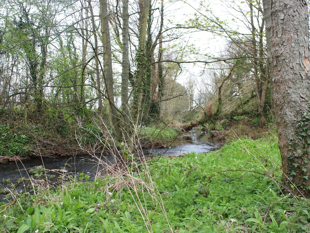 Foxes Den