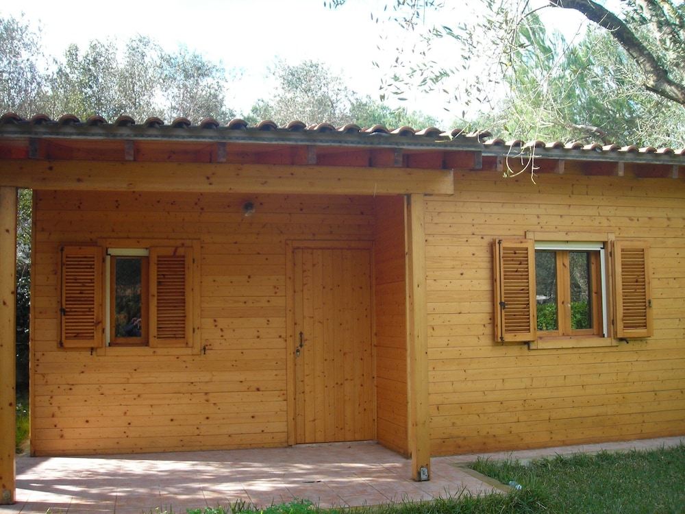 Photo 18