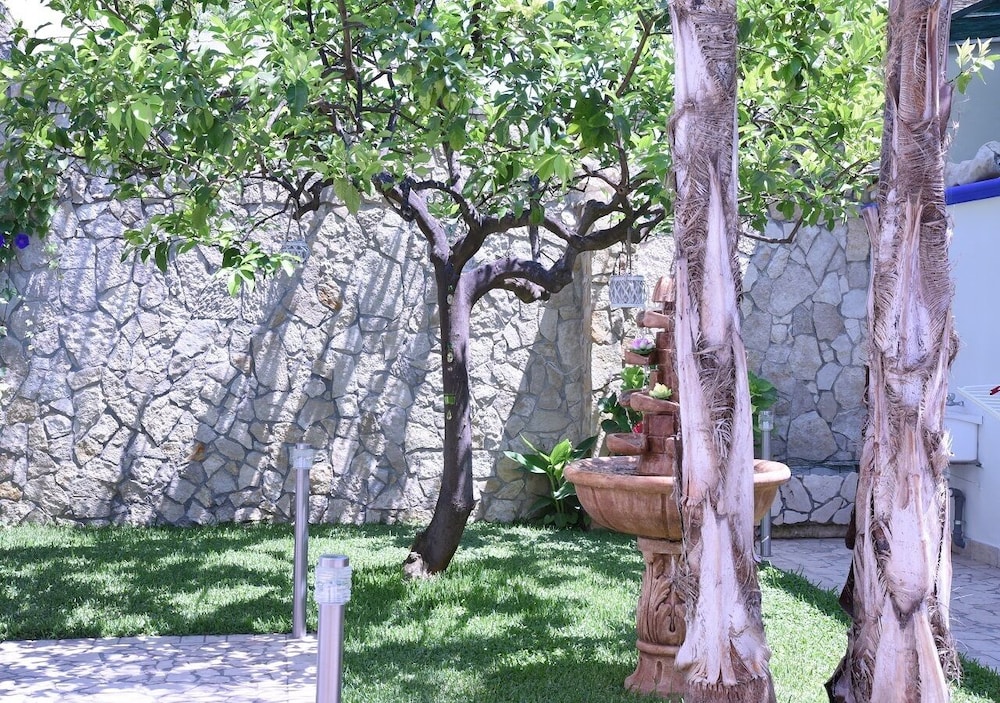 Photo 29