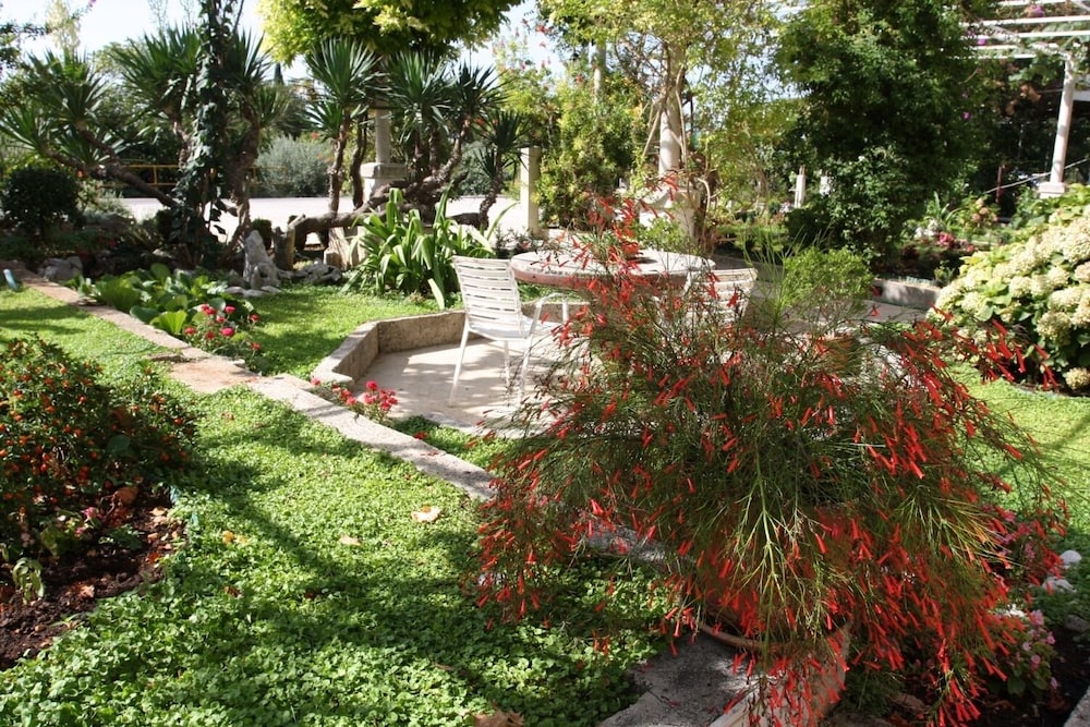 Photo 10