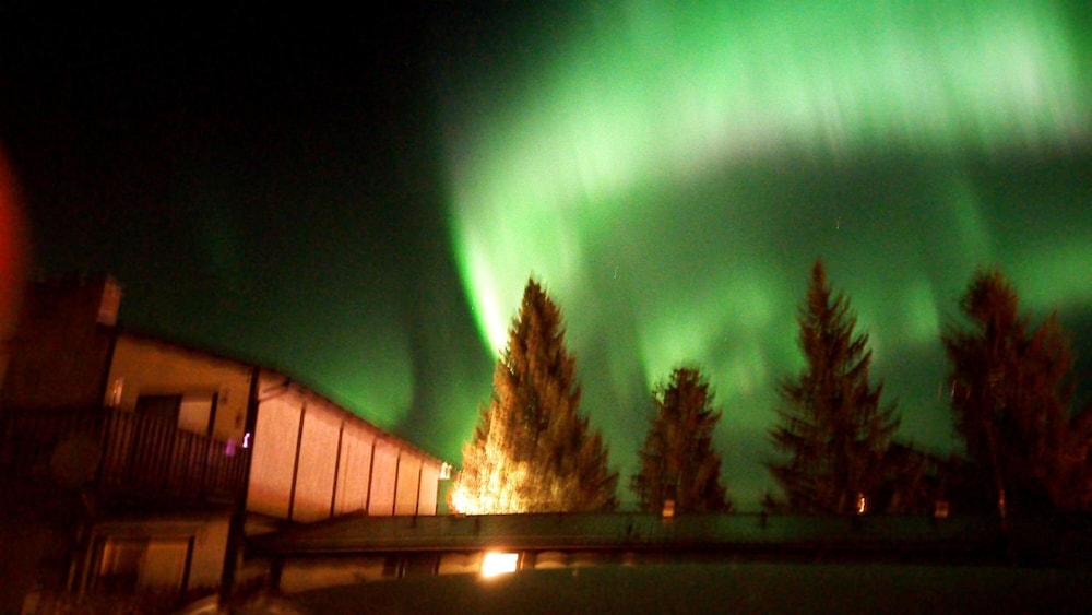 Yellowhead Motel