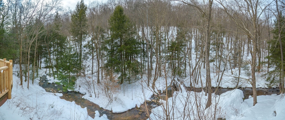 Photo 43