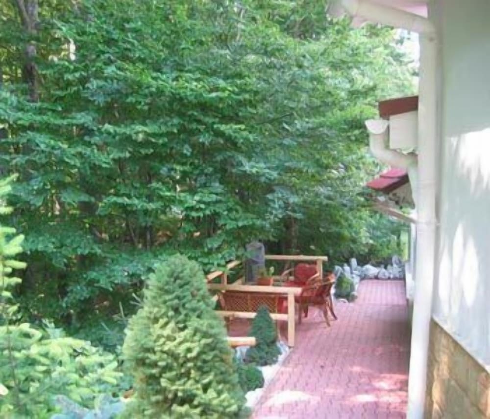 Photo 32