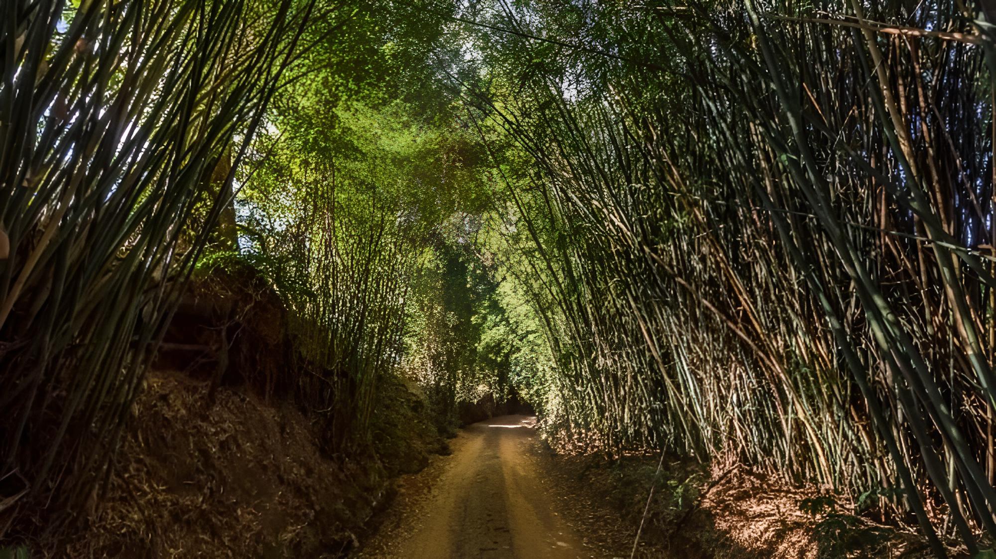 Fazenda Santa Bárbara - Eventos e Filmagens