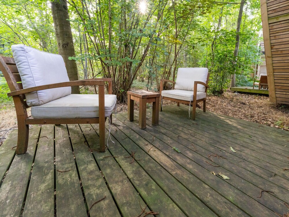 Peaceful Forest Escape