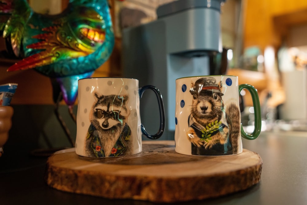 Cozy Bear 1 Bedroom Cabin