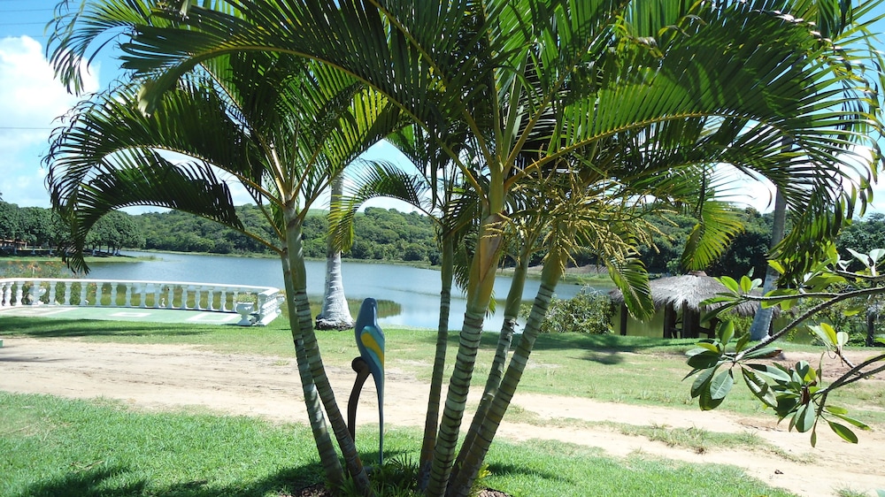 Fiore Resort e Residence, photo 103