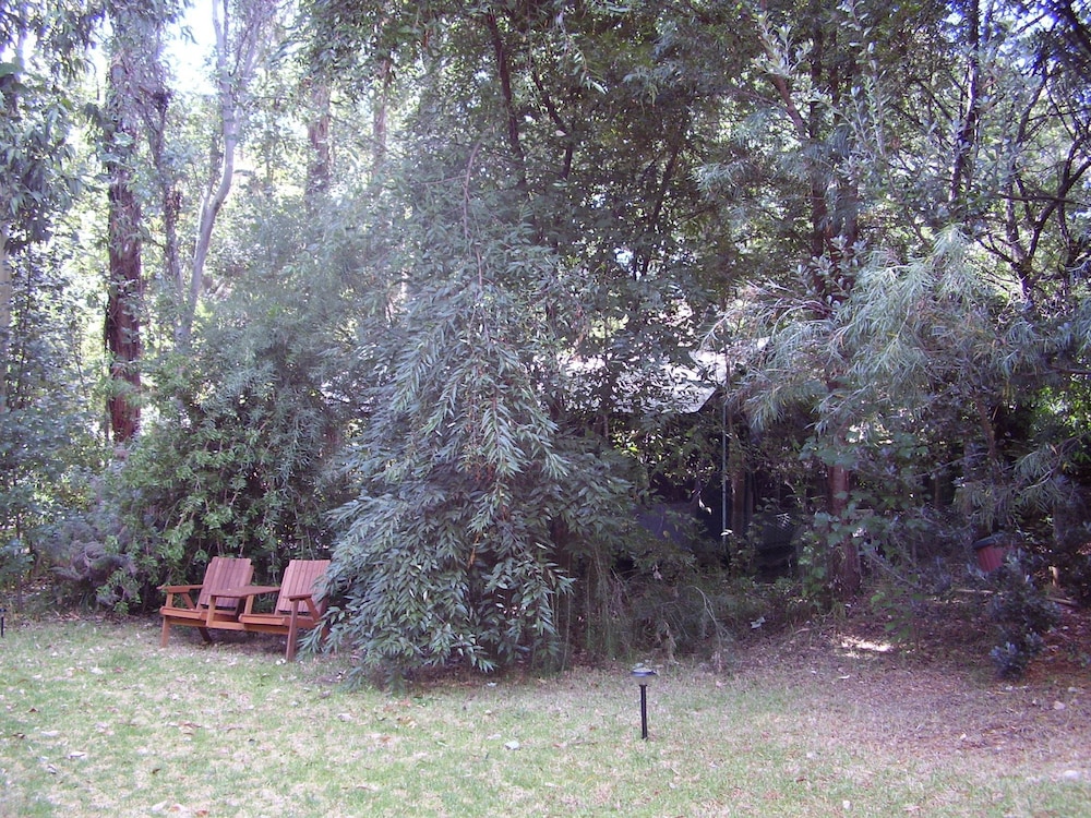 The Black Cockatoo Nannup