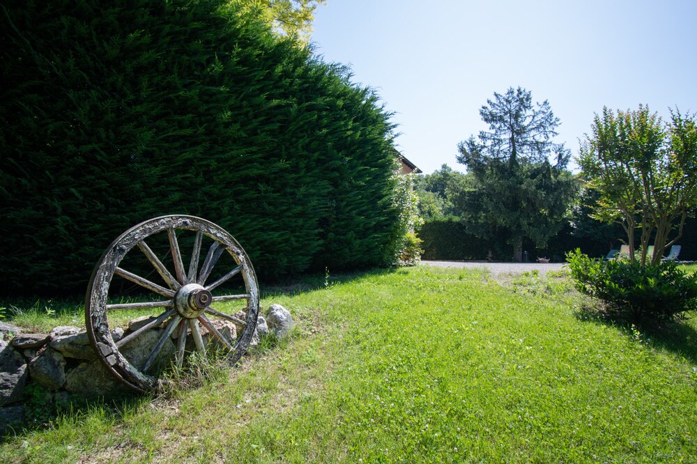 Photo 50