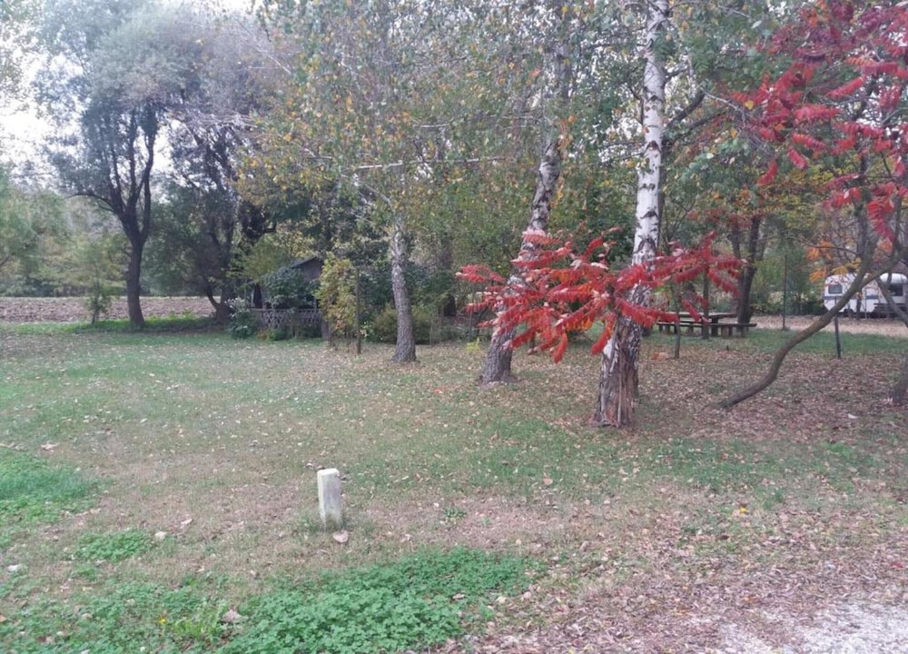 Photo 38