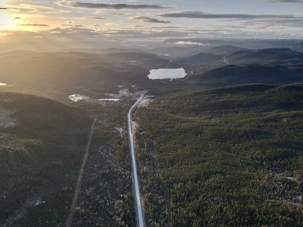 Bonne Bay Cottages