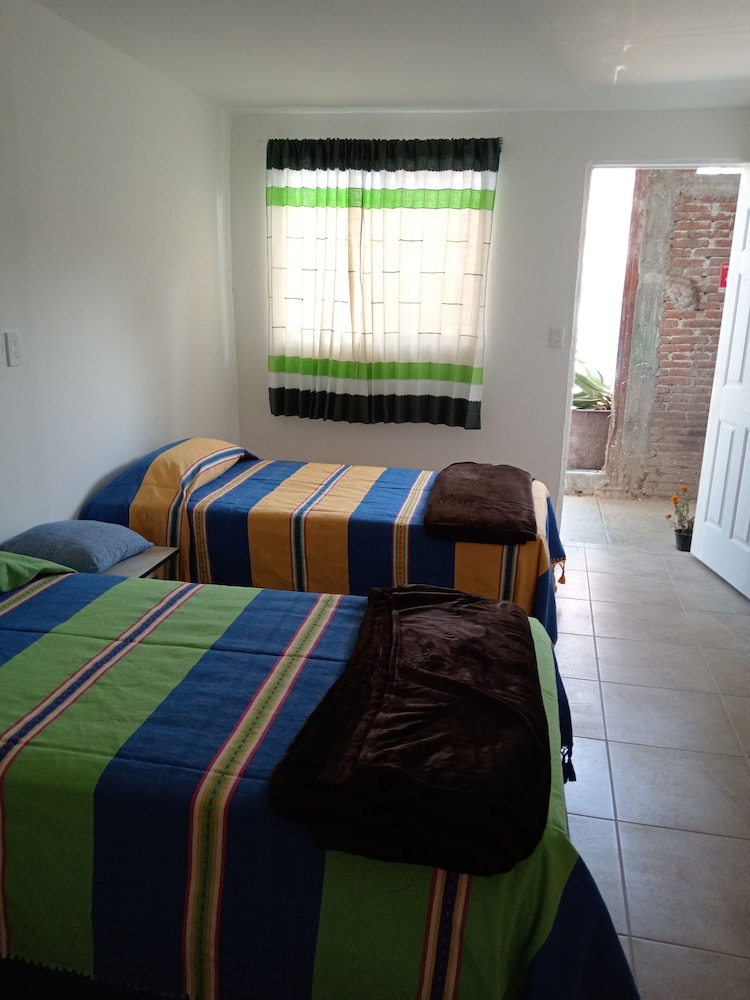 Iguana Co-living