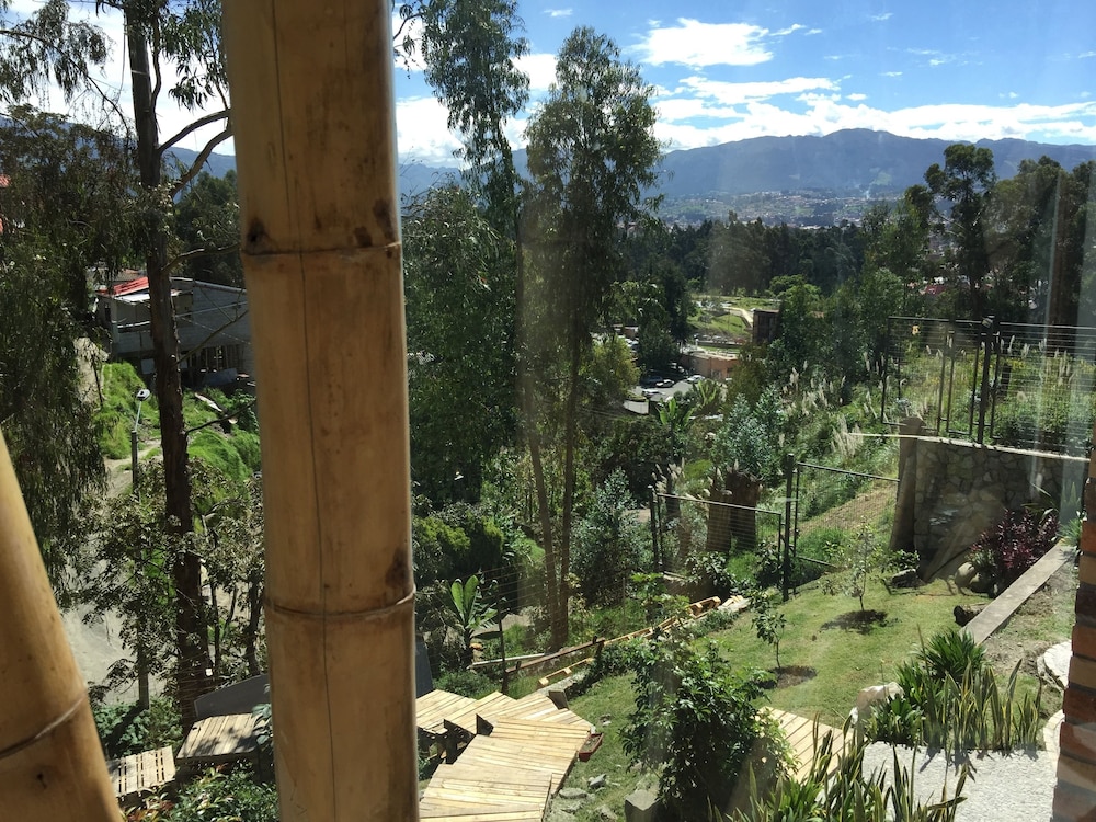 Bambu Sierra