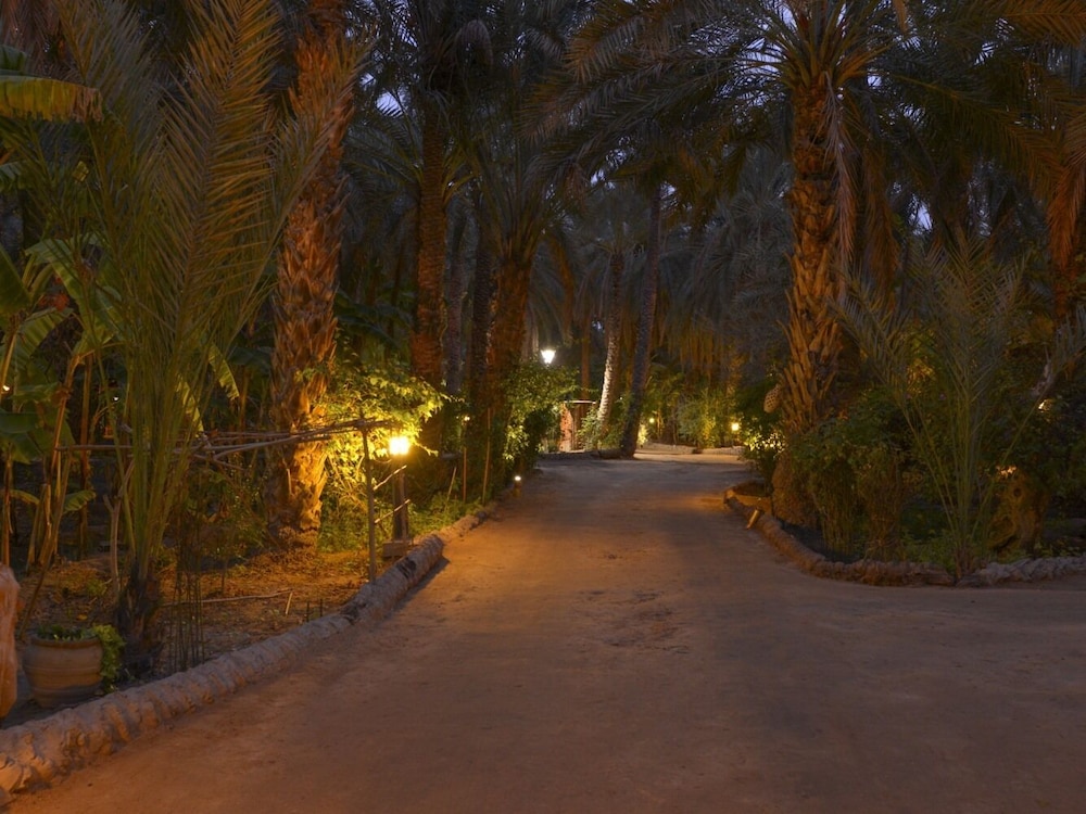 Tozeur Vacations - Hotel Diar Abou Habibi - Property Image 6