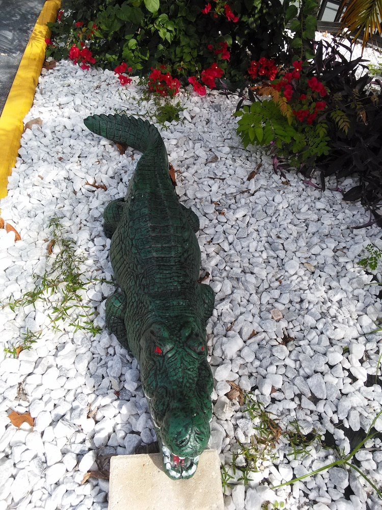 Merida Inn and Suites