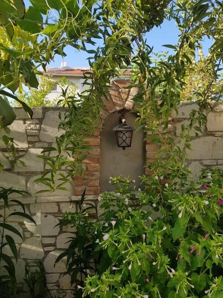 Photo 40