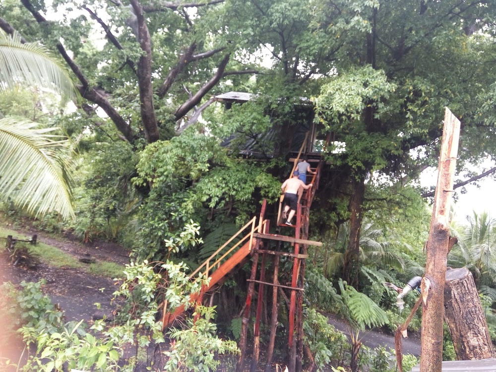 Castle Tree House