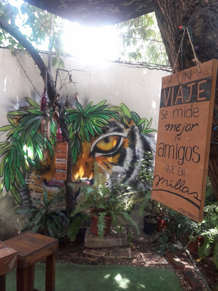 Casa MonaLisa PTY - Hostel