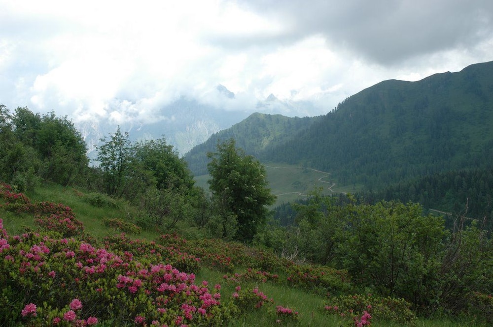 Photo 46