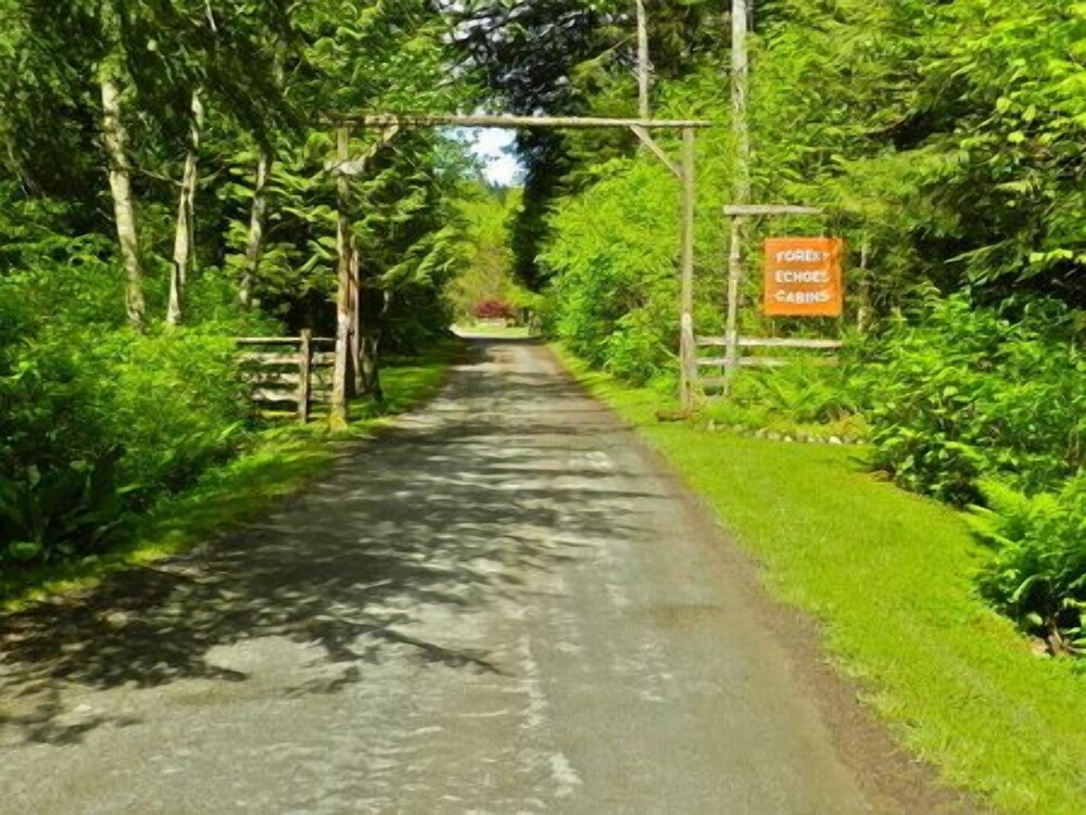 Forest Echoes Cabins