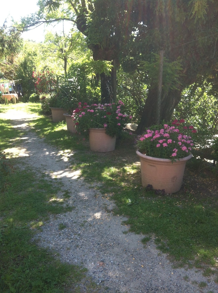 Photo 26