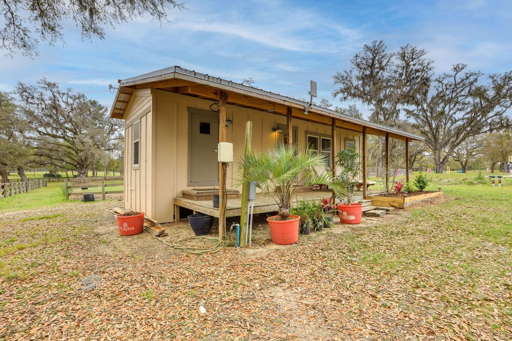 Cozy Morriston Home Near World Equestrian Center! view 5