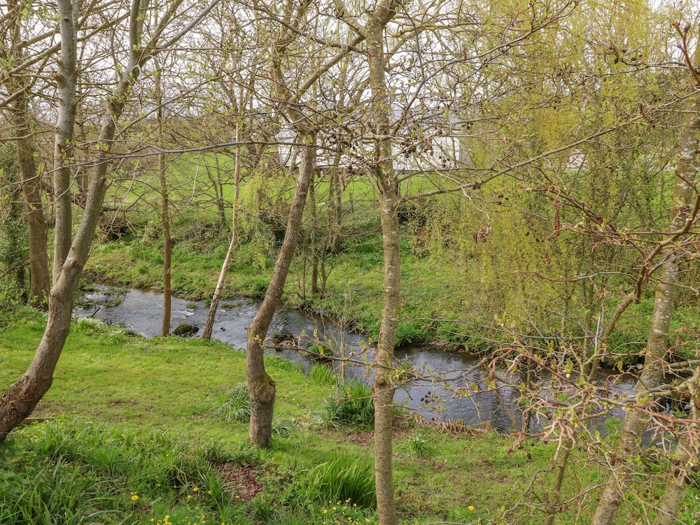 Photo 38