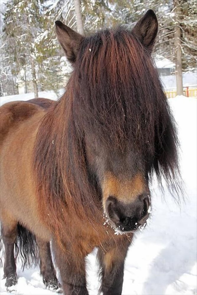 Majatalo Aapiskirja