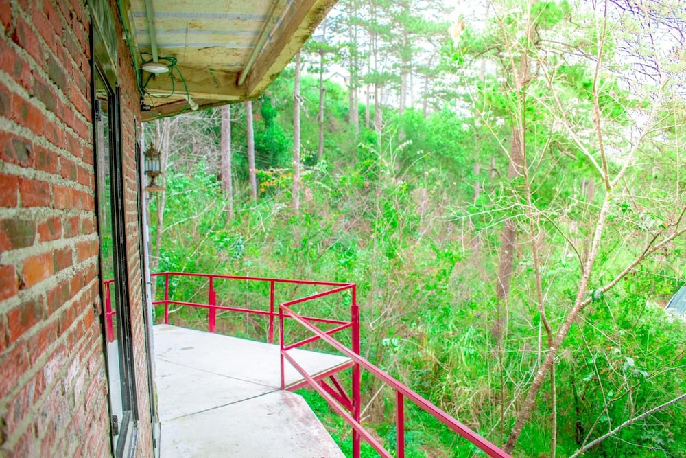 Maple Hostel