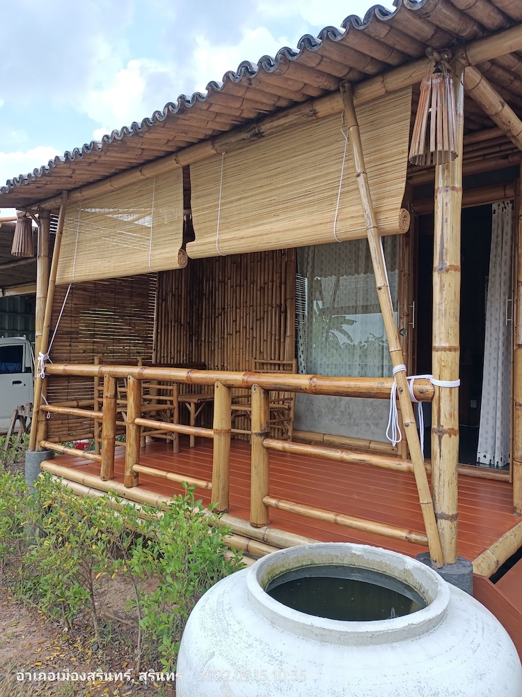 Bamboo Conservation Farm