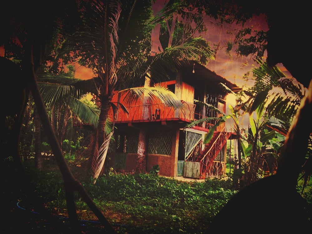 Wooden Paracosm & Resort view 5