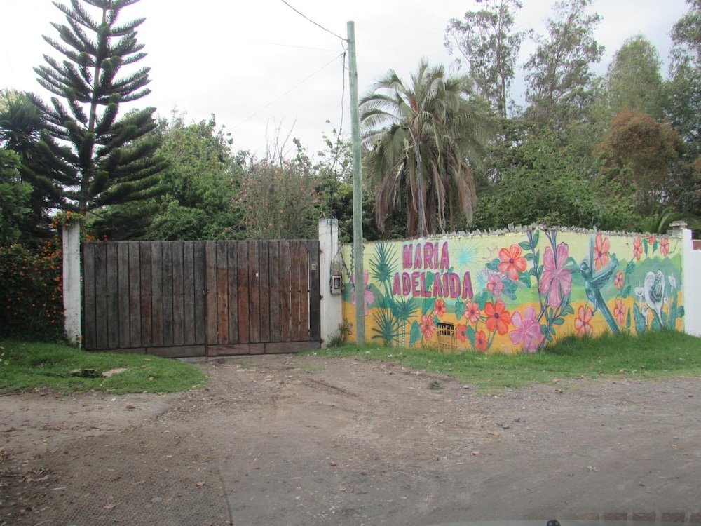 Photo 32