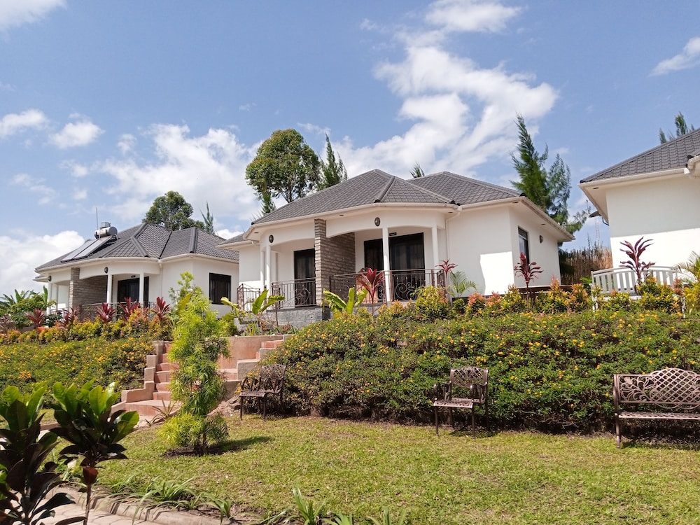 Photo 21