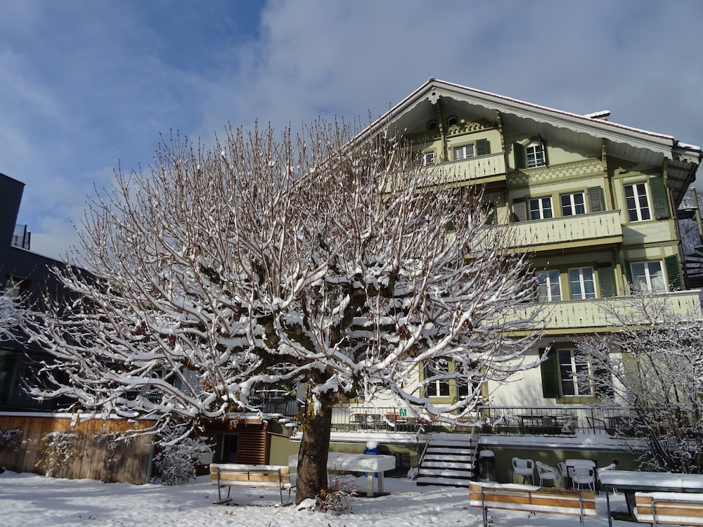 Backpackers Villa Sonnenhof - Hostel