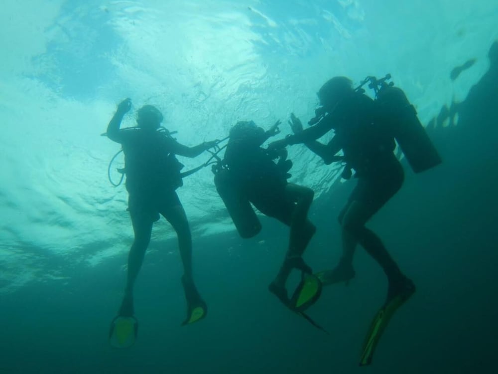 Richmond Vale Diving and Hiking Center - Hostel - Photo 15