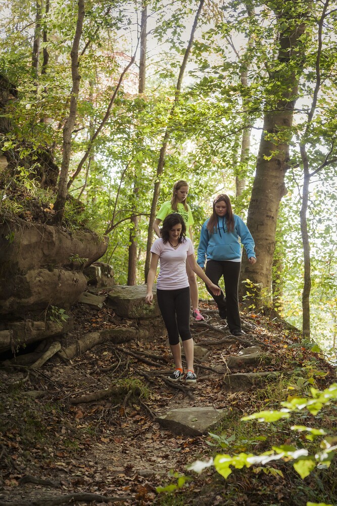 Pennyrile Forest State Resort Park