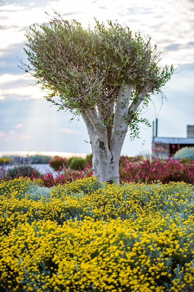 Vathi Bleu Private Villas
